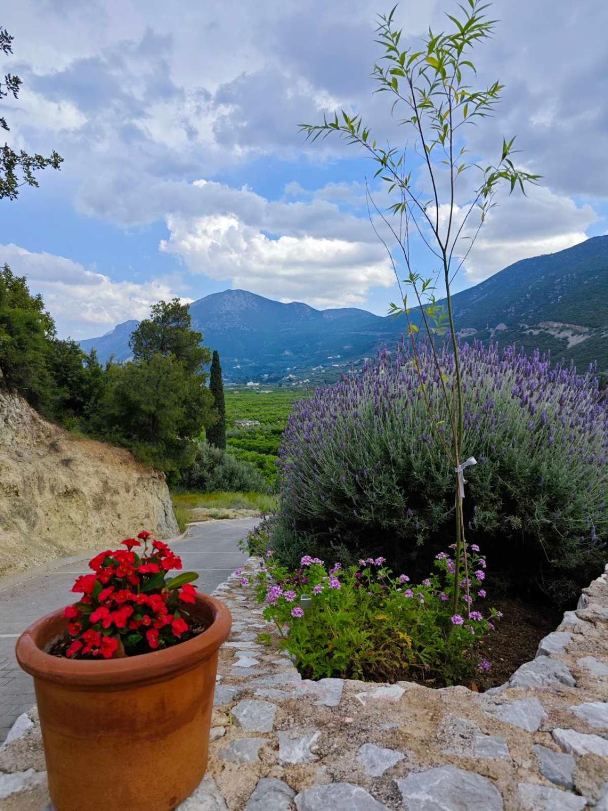 Apartment Melissafarm Epidaurus